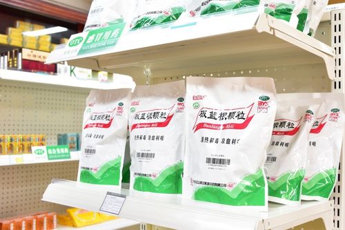 板蓝根青菜 成健康新宠