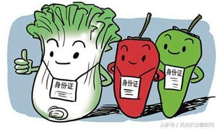 追溯 农产品追溯系统保障你的权益